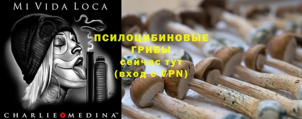 твердый Бородино