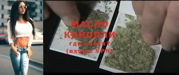 твердый Бородино