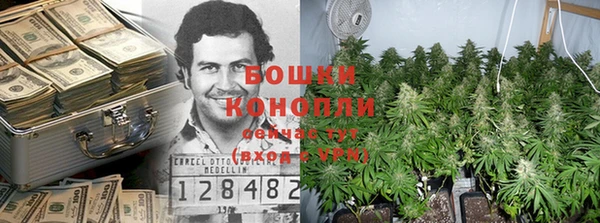 гидропоника Бронницы
