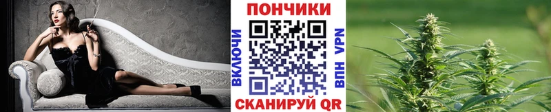 дарнет шоп  Волосово  Бошки марихуана Amnesia 